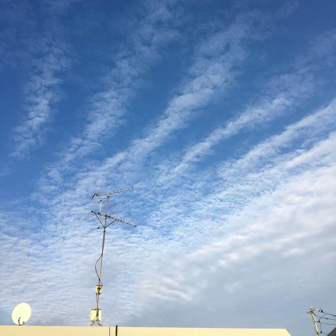 lululukululuのインスタグラム：「青空 綺麗な秋空　関東は久しぶりの晴れ☀️ #青空#秋晴れ#久しぶりだー❤️」