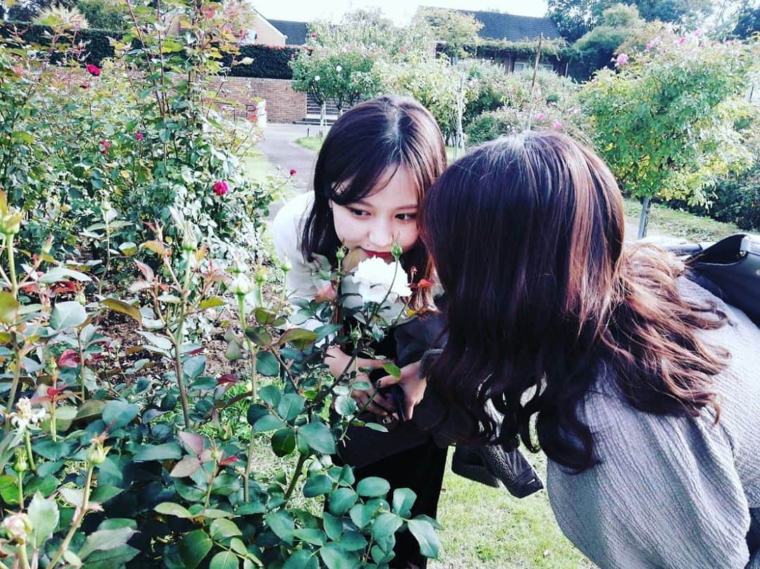 東京バイオテクノロジー専門学校のグルメインスタ