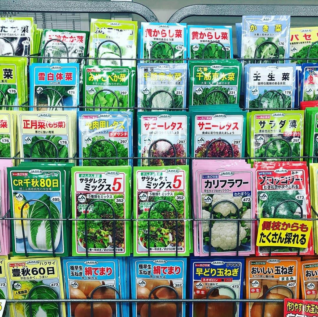 おんむすのグルメインスタ