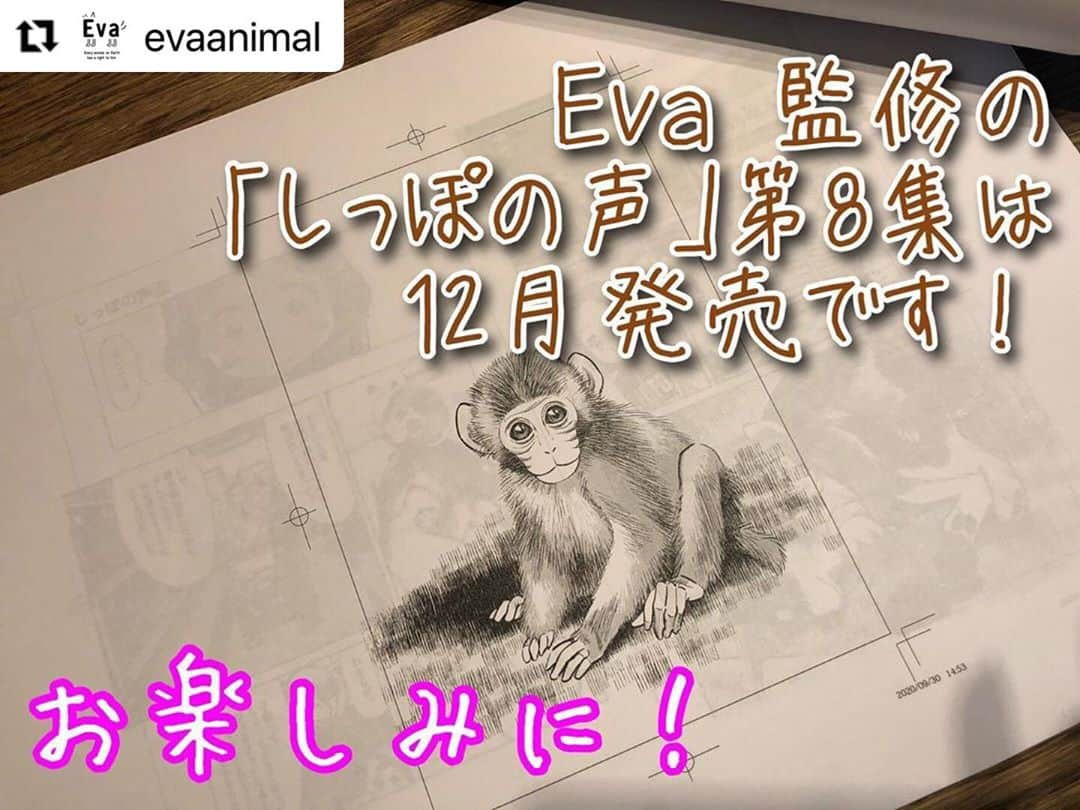 杉本彩さんのインスタグラム写真 - (杉本彩Instagram)「#Repost @evaanimal with @make_repost ・・・  2017年から小学館ビッグコミックオリジナルで連載が始まった、  Eva が監修をしている「しっぽの声」の単行本第8巻は、  12月発売予定です❗️  早いものであっという間の8巻！  只今鋭意ゲラチェック中です🖋  8巻では、裏の顔を持つ猫活動家の女の話しや、  交雑種猿の話しなど盛り沢山です。  お楽しみに❗️  #しっぽの声 #しっぽの声8巻 #しっぽの声を読んで欲しいです  #ビッグコミックオリジナル #公益財団法人動物環境福祉協会Eva」10月16日 16時47分 - sugimoto_aya0719