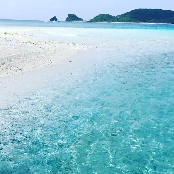 田中律子のインスタグラム