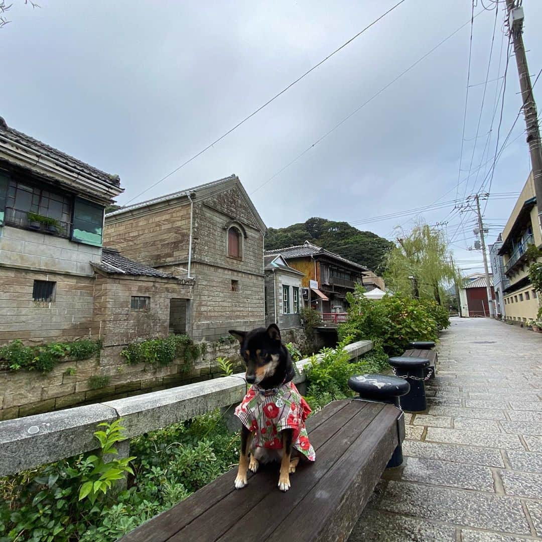 平山ユージさんのインスタグラム写真 - (平山ユージInstagram)「夫婦でGo to 🧳  久しぶりに夫婦の時間で楽しい旅行もあっという間だった🐶💐🍂🌊ひじきの旅上手にも感激したし、早くまた行きたい🤩🤩 We haven’t travel for long time with my wife but this time we took short holiday💕 we know this time that Hijiki is so good to travel with us🤩🤩 I’m hoping to travel soon again ✨✨  #伊豆半島 #富士山麓　#gototravel」10月16日 22時30分 - yuji_hirayama_stonerider