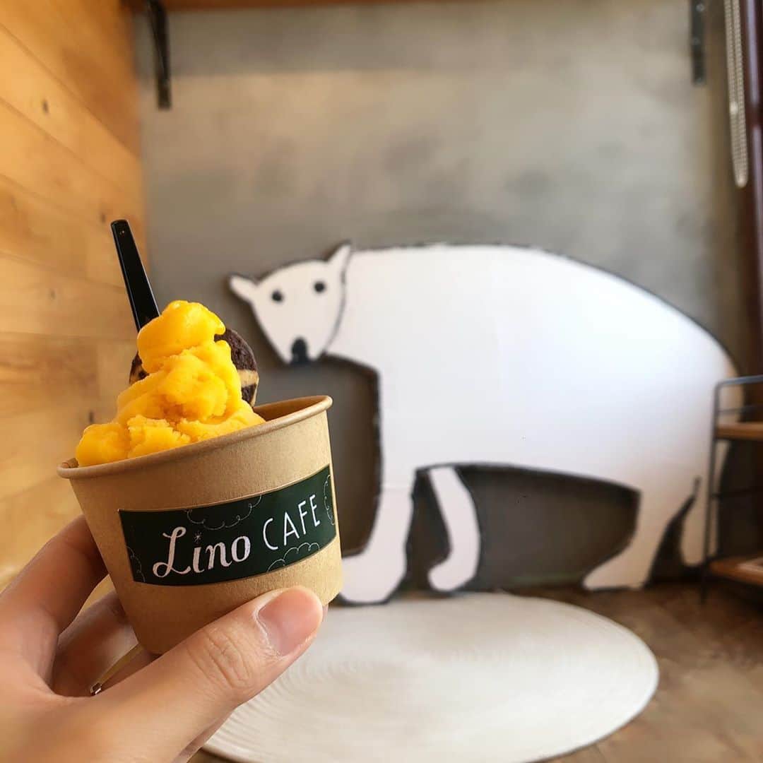 前田友香のインスタグラム：「﻿ ﻿ ﻿ ﻿ Lino cafe﻿ ﻿ ﻿ 景色が最高〜🏝﻿ ﻿ ﻿ ﻿ 焼き菓子がたくさんあって﻿ 迷いに迷って﻿ 選んだの🥺✨﻿ ﻿ ﻿#linocafe  #糸島﻿ #糸島ドライブ﻿ #糸島カフェ﻿ #カフェ﻿ #cafe﻿ #ジェラート﻿ #焼き菓子﻿ ﻿」