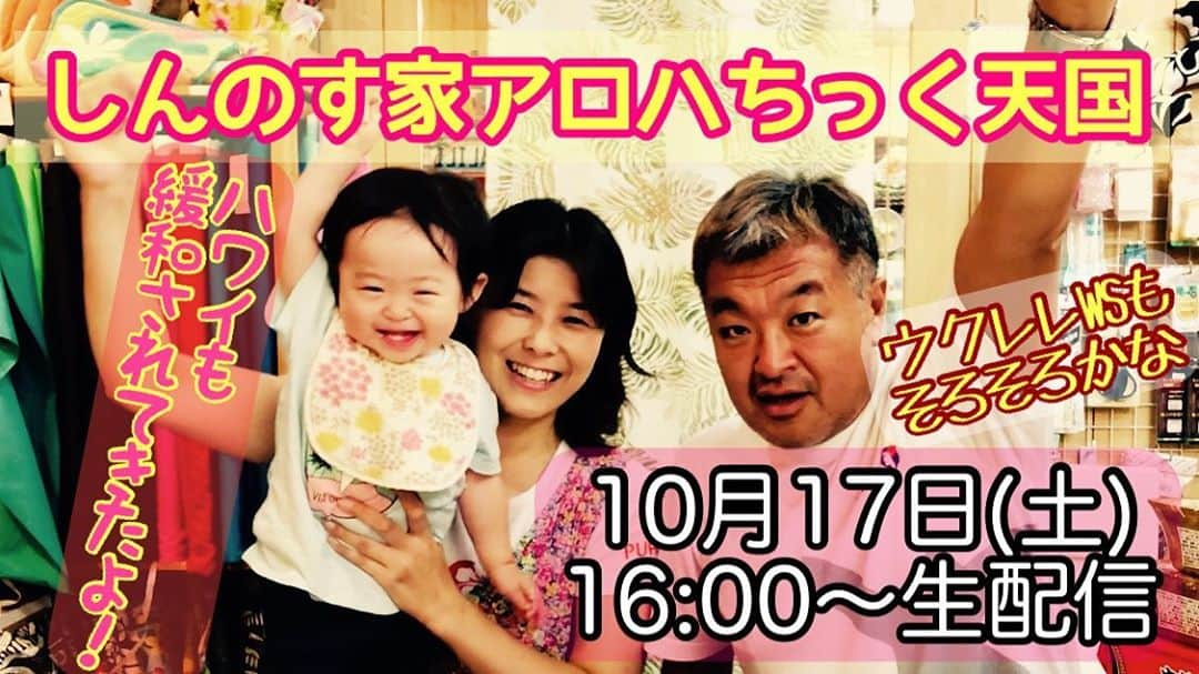 古本新乃輔さんのインスタグラム写真 - (古本新乃輔Instagram)「巷のニュースでは、 ハワイも国内から少しずつ観光客の受入を緩和していくかもな 朗報が聞こえ始めてますね。  ってコトは、 日本からハワイ直行な解禁も 希望が見えてきたかもしれません。  お願いだから Go To トラベルを海外旅行でも使える塩梅になりますように。  なワキャぁないんでしょうけど、 ハワイにGo Toが使えたら、どんなにウハウハなんでしょ。  皆さんもそう思いますよね。 (国内向けなんだから無理なのはわかってますが)  さぁ、 PUALILIもそろそろ重い腰を上げまして、 ウクレレのワークショップをお店で再開しちゃおっかなぁ、 な雰囲気になって参りました。  生配信中に、 色々とご案内させて頂ければと。  そして、 生配信の本筋はいつも通り、 チャットトークで皆さんと和気藹々、 あーでもない、こーでもないな内容で 楽しい90分になることでせう。  皆様のお越しを 心よりお待ちしております。  MAHALO  #YouTube #しんのす家 #アロハちっく天国 『ハワイも緩和されそだからウクレレWSもそろそろだよね？な生配信』 https://youtu.be/FY1dfFqbuvw (プロフィール欄のリンクツリーからYouTubeへジャンプ！)  #古本新乃輔 #ウクレレ #多肉狩り #多肉植物 #リメ缶 #生配信 #LIVE #子育て #イクメン #親バカ部」10月16日 17時15分 - shinnosukefurumoto