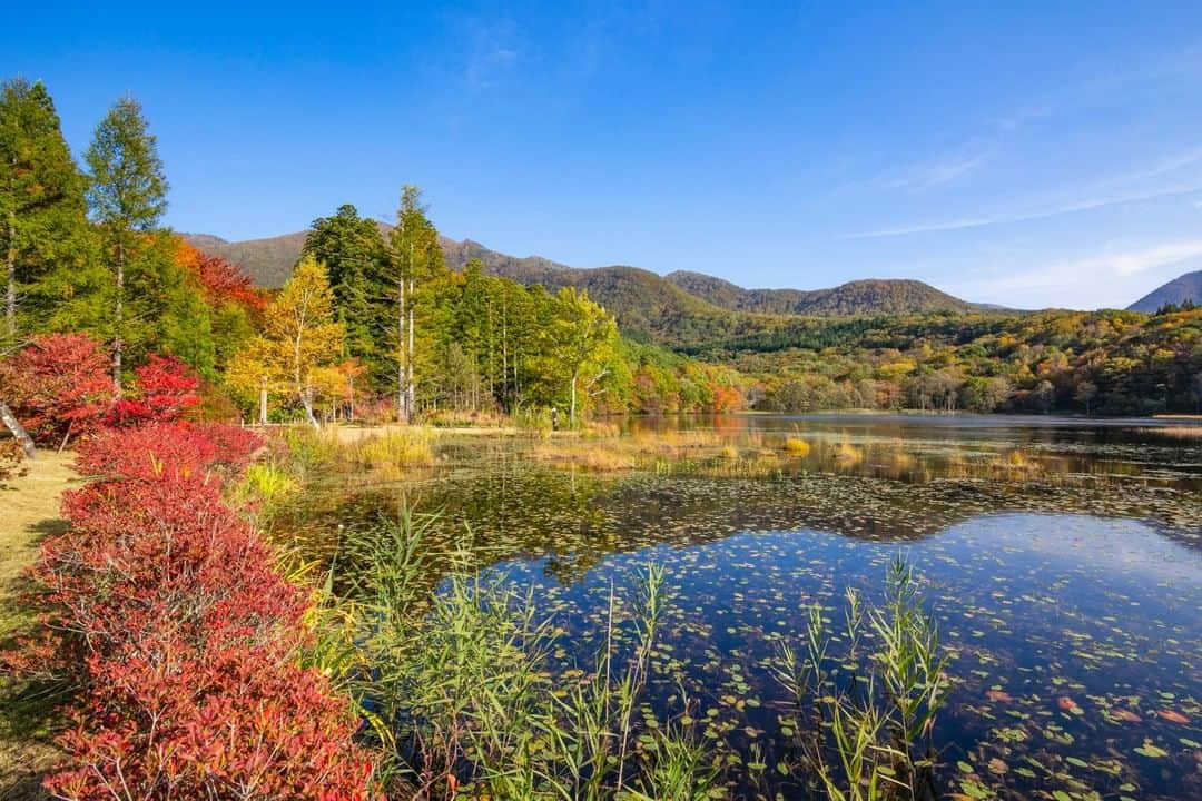 福島県さんのインスタグラム写真 - (福島県Instagram)「【観音沼森林公園】  南会津の静かな森に華やかな秋が訪れました。午後の日差しを受け、水面は澄んだ青空と甲子（かし）の峰々を映し出します。  #観音沼森林公園 #下郷町 #南会津地方 #福島県 #shimogotown #fukushima #traveljapan #futurefromfukushima #ふくしまからはじめよう #新しい生活様式からはじめよう」10月16日 17時20分 - realize_fukushima