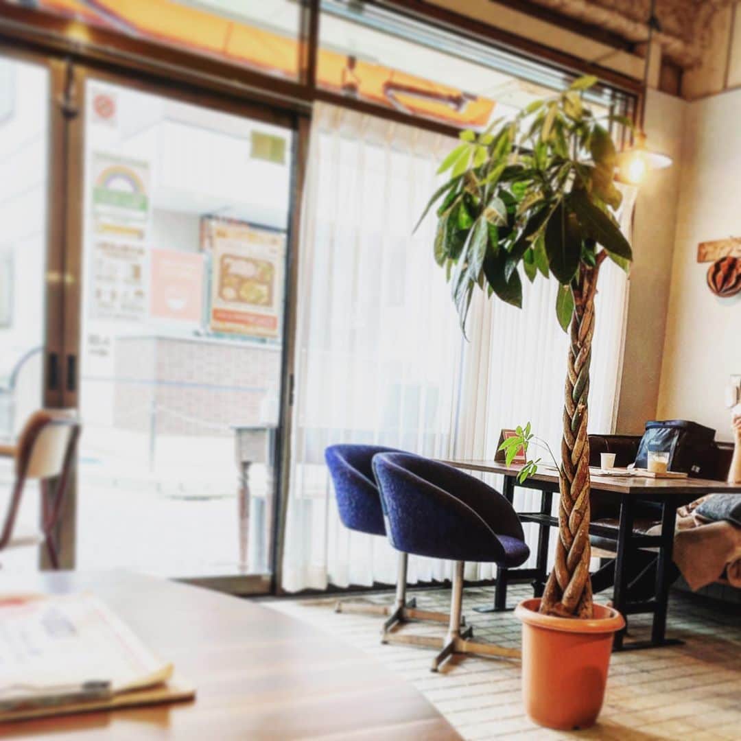 ただすけのインスタグラム：「久しぶりに近所をお散歩ぶらぶらしていたら、良い感じのカフェを発見しくつろぐ。 家でもずっとくつろいでいるからする事は変わらないんですけどね。 さておき21:00くらいから久しぶりにインスタライブでもしてみようかと。 告知？予告？予測？予想？」