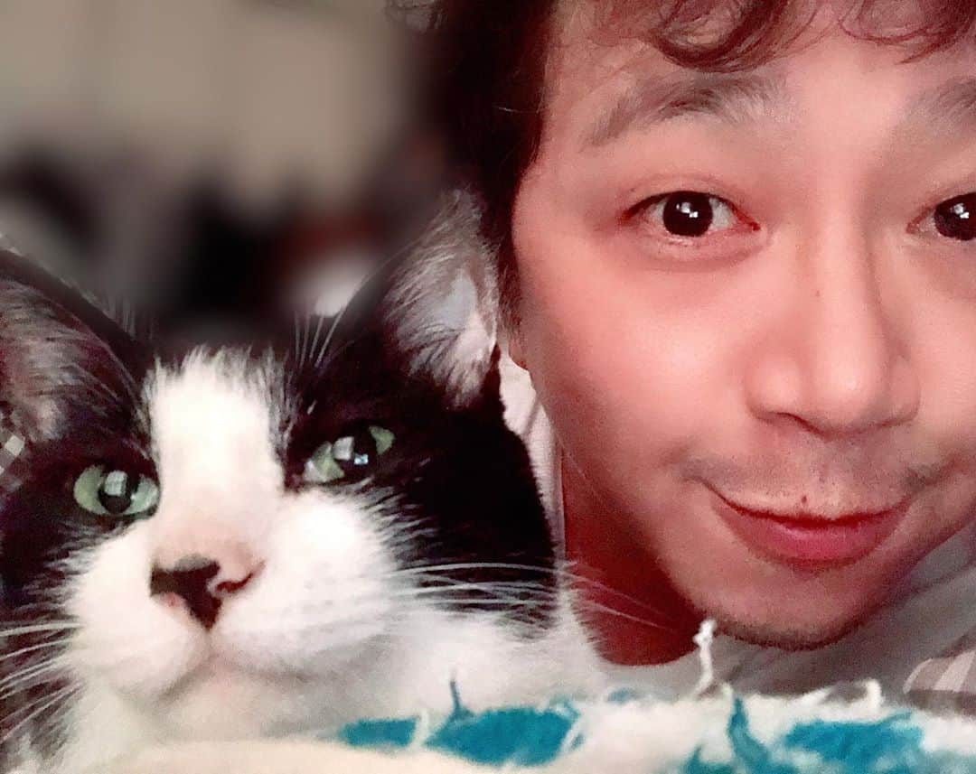 辻本耕志さんのインスタグラム写真 - (辻本耕志Instagram)「寒くなってきたから一緒に寝る。 #猫　#ねこ　#ネコ　#ごま　#cat」10月16日 18時02分 - tsujimotokouji