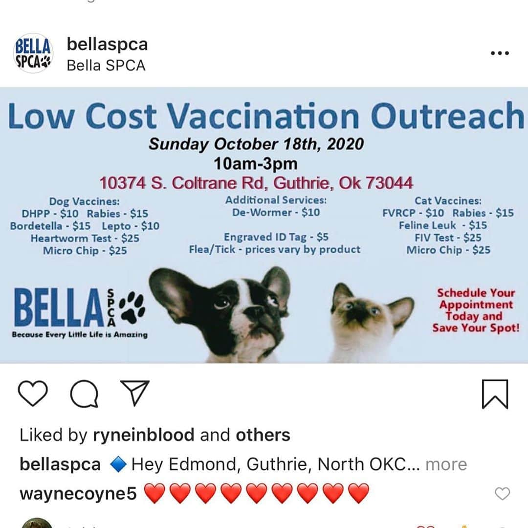 ウェイン・コインさんのインスタグラム写真 - (ウェイン・コインInstagram)「Yay!!! @bellaspca has been doing great great work for Oklahoma City for a long long time and now they have a new spot in Guthrie that serves Oklahoma City as well!!!! Cool people doing cool stuff❤️❤️❤️❤️❤️❤️❤️❤️❤️❤️❤️❤️❤️❤️❤️」10月16日 17時55分 - waynecoyne5