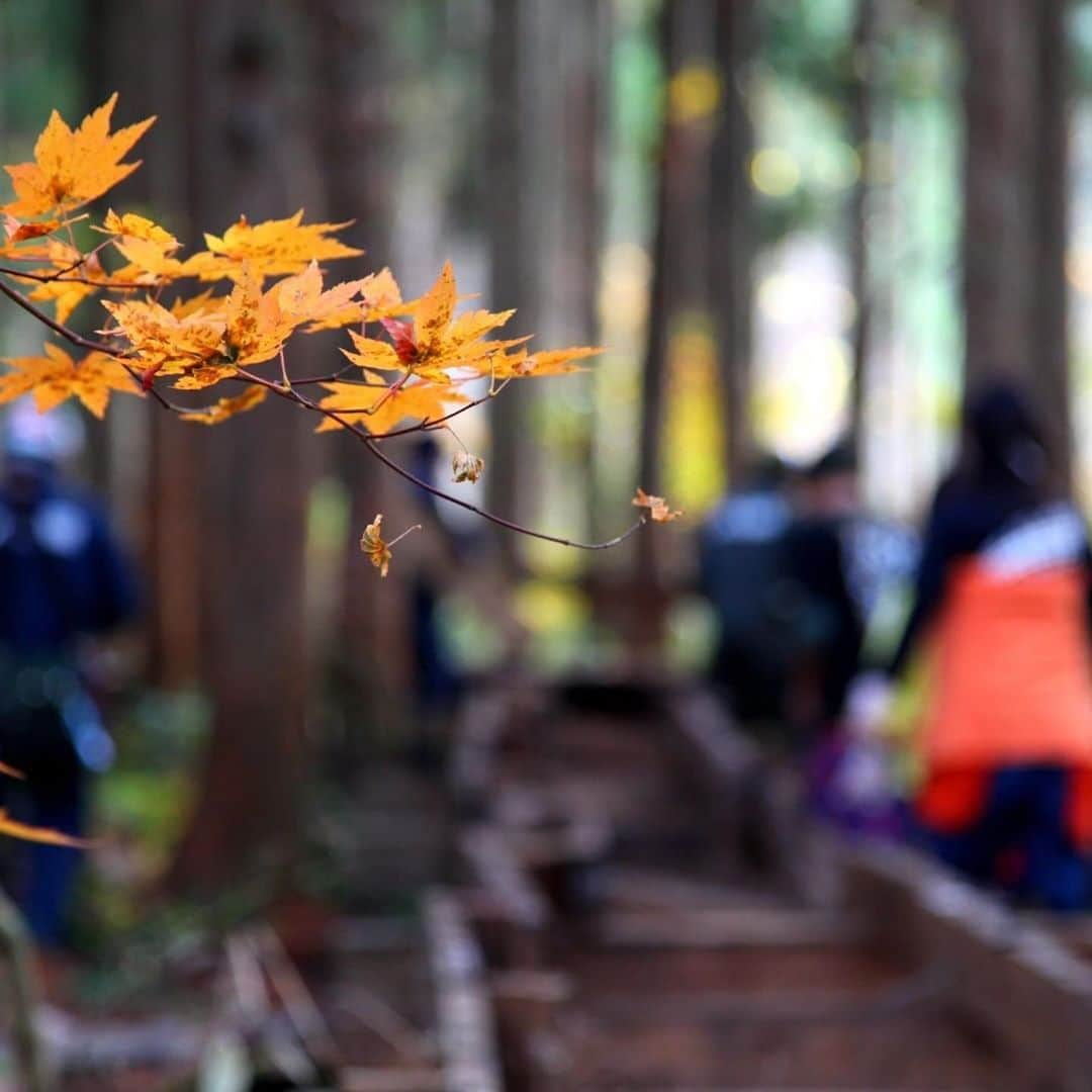 フジロック・フェスティバルさんのインスタグラム写真 - (フジロック・フェスティバルInstagram)「🌲10/24 開催🌲 今年初のボードウォーク・キャンプ  フジロックの森をつなぐボードウォークの修復や整備を地元有志の方々と一緒に行うボードウォークボランティアキャンプ。今年初の開催です。  クラウドファンディングへのたくさんのご支援・応援により無事完成されたみどり橋も初お披露目となります。  ★現在申し込み受付中 10月21日（水）17:00まで 要事前申し込み 定員（１５０名）に達し次第終了  詳細・申し込みは ストーリーズ、または @fujirockersforest より ご確認ください。  #Repost @fujirockersforest ・・・ 【フジロックの森／ボードウォークキャンプ参加者募集開始！】 秋のボードウォークボランティアキャンプ。参加申し込み開始しました！1日のみの作業となりますが、前後でフジOASISエリアでのキャンプが可能です。 前回中止となり、今年初の開催です。今回は定員150名とし、事前申込を必須とさせていただきます。9月に竣工しました、みどり橋もぜひご覧になってください。感染症対策のお願いなど、参加要領やお申し込みにつきましては、webにまとめています。皆さまのご応募、心よりお待ちしております。  Boardwalk Don’t Run Vol.65 日時： 10月24日（土）9:30〜16:00頃 内容：清掃／補修作業、その他 参加費：無料  プロフィールからリンクしています。 https://www.fujirockersforest.com/bwc65/  #フジロック #FUJIROCK #フジロックフェスティバル #FUJIROCKFESTIVAL #フジロックの森 #FUJIROCKERSFOREST #苗場スキー場 #新潟県 #湯沢町 #苗場」10月16日 18時21分 - fujirock_jp