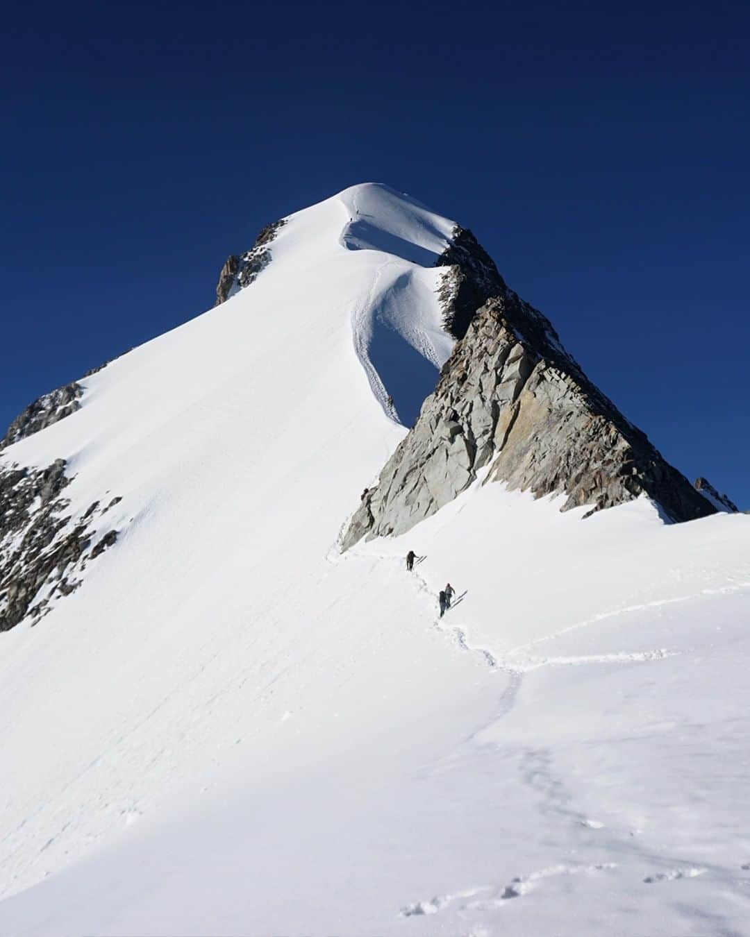 のインスタグラム：「Piz Bernina summit in sight for the @gfhmteam earlier this year!  #MilletRiseUp」
