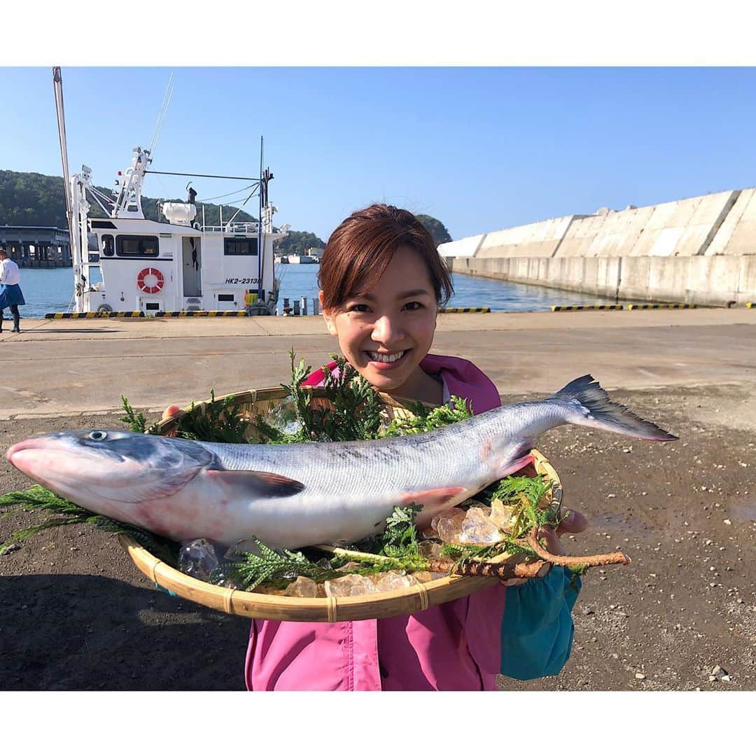 芳賀愛華のインスタグラム：「. 明日、HTBイチモニに出演させてもらいます☺️‼︎ ウトロ 漁港で秋鮭漁に密着させてもらいました😍✨ 美味しい美味しい北海道産の秋鮭🐟！ どんな風に獲られているのか、 そして美味しい秋鮭のレシピもご紹介します☺️💓 . #イチモニ#HTB#秋鮭漁」