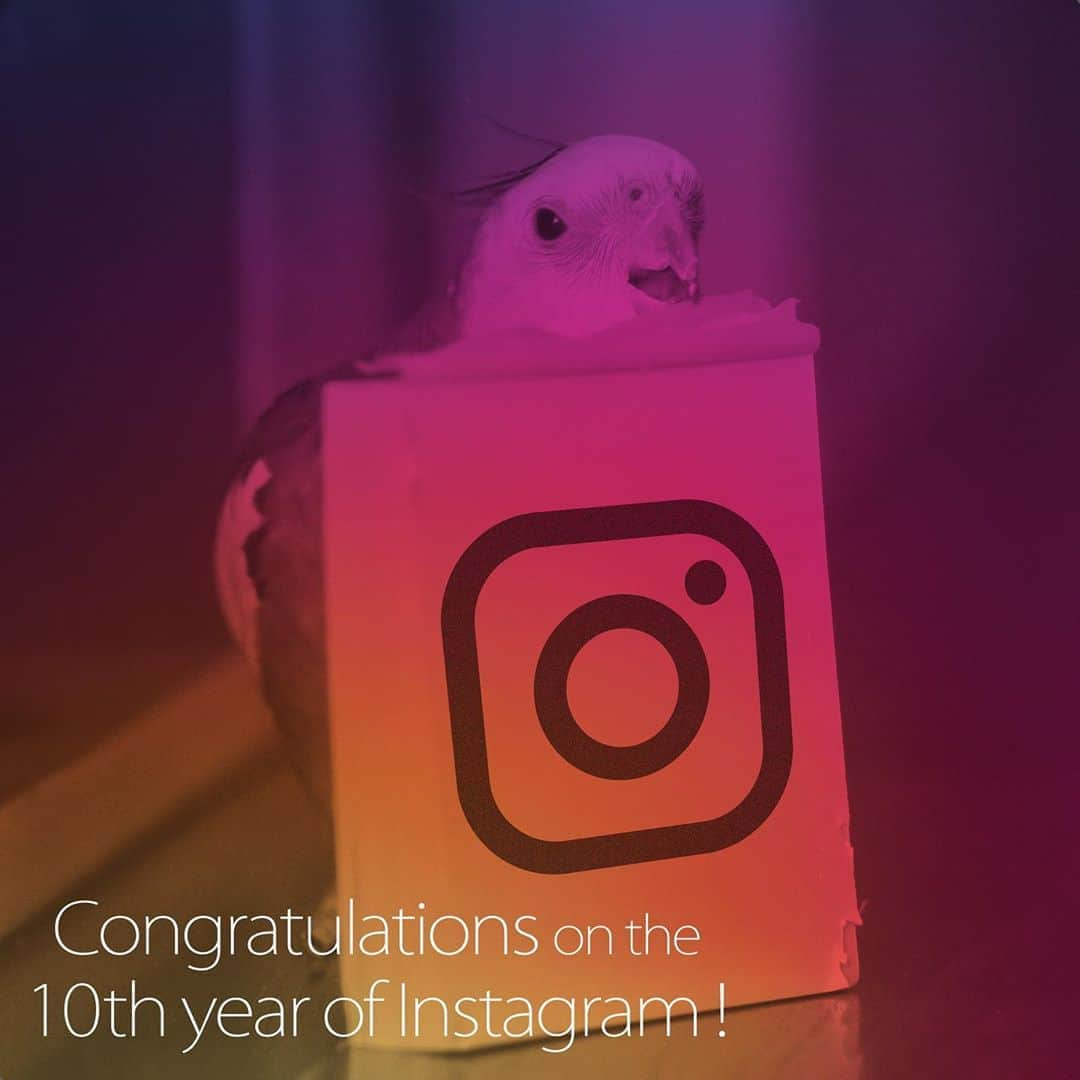 YURAPOi ゆらぽぃさんのインスタグラム写真 - (YURAPOi ゆらぽぃInstagram)「Congratulations on Instagram 10th Anniversary🎊🎁  2020年10月5日 インスタグラム生誕10周年 おめでとうございます!  カスタムアイコンは2020年10月限定で利用できる機能のようですね!まだトライしていない方はぜひ!」10月16日 20時30分 - ryoichisakai