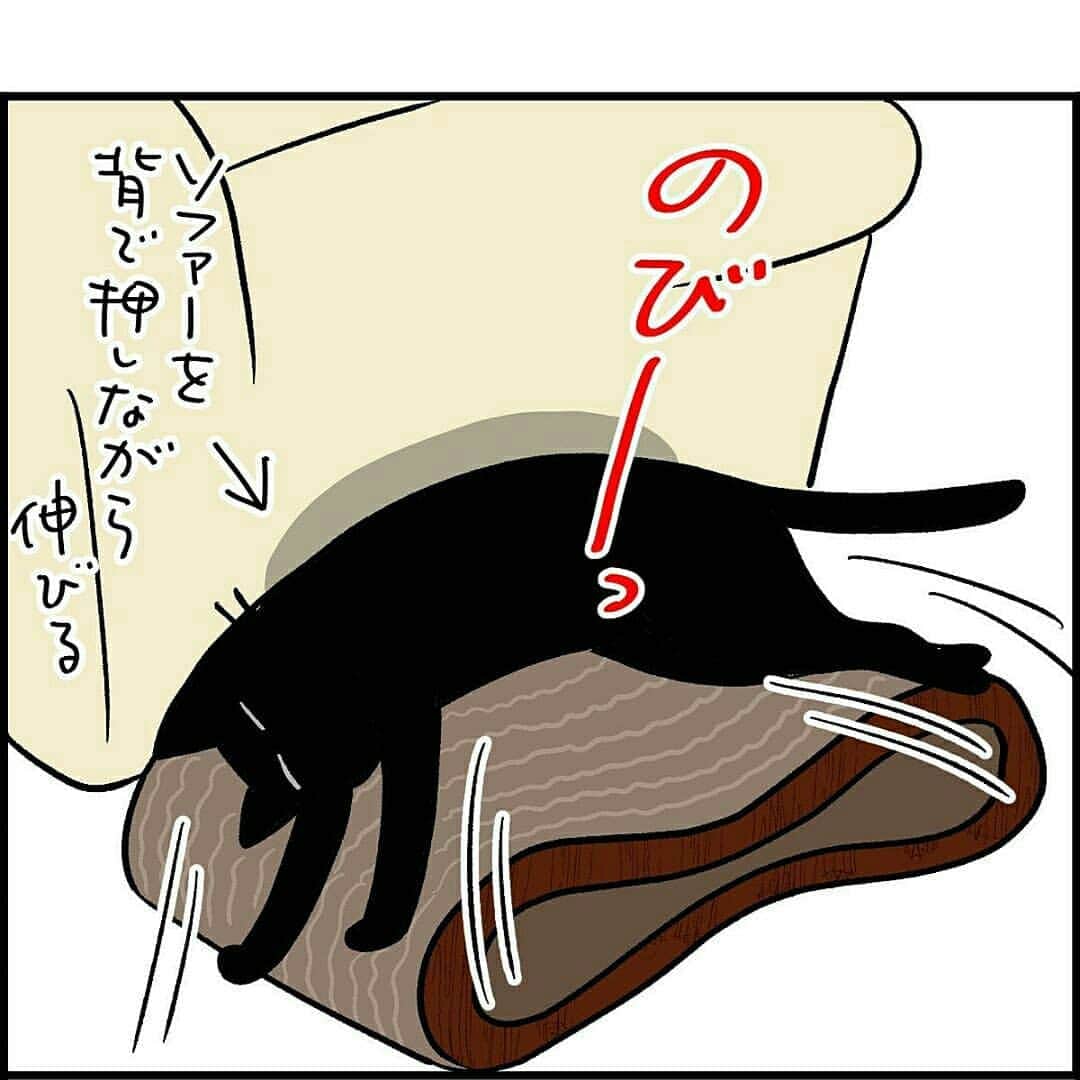 猫壱（ねこいち•ネコイチ）さんのインスタグラム写真 - (猫壱（ねこいち•ネコイチ）Instagram)「【#猫マンガ 】 ▫ 悪いことは人のせい💨💨 ▫ ▫ #気持ちはわかるけど #誰も悪くない😁  ▫ ▫ :::::::::#猫壱 ::::::: 猫壱は猫と人との暮らしの向上を目指して猫グッズの開発に取り組んでいます♪ きなナノちゃんが使ってくれているのは#バリバリベッドループ でした✨ ▫ 気になる方は @necoichicojp をチェックしてみてくださいね！ ▫ ▫ 【Special thank-you @86palpal 💕💕💕💕】」10月16日 20時27分 - necoichicojp