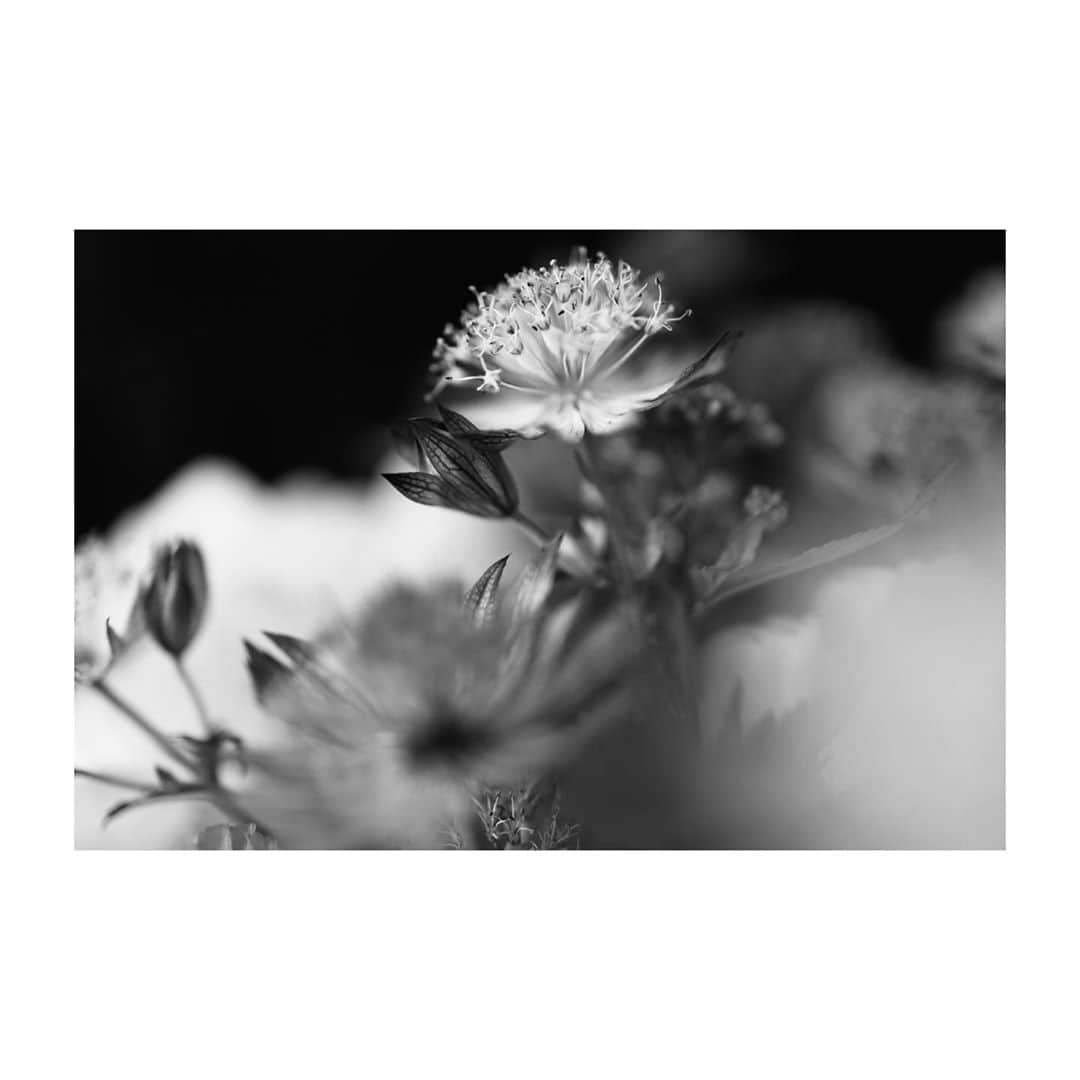稲垣吾郎さんのインスタグラム写真 - (稲垣吾郎Instagram)「秋冷の夜に。」10月16日 20時41分 - goro_inagaki_official