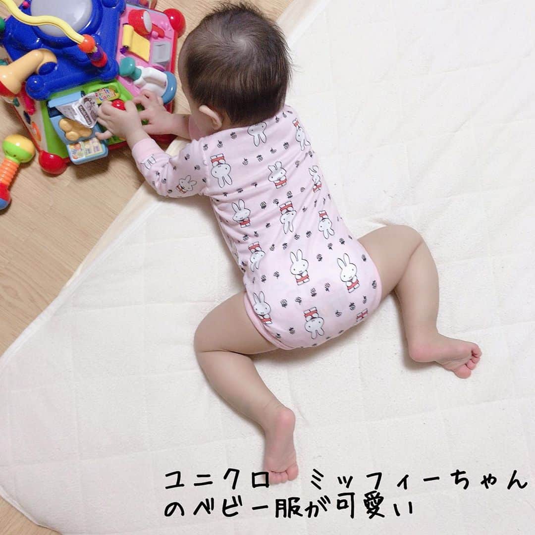 のインスタグラム：「ユニクロで限定販売してたミフィーちゃんのボディスーツを愛用中！ 下着としても、服としても着れるのがいいですね(^^) 首回りが広いのがちょっと寒そうですが許容範囲かな。 . 10ヶ月で70cmを購入しました(^^) . #ミッフィー#ミッフィーグッズ #ミッフィーコラボ #ミッフィー好きと繋がりたい #ユニクロ#ユニクロコーデ #ユニクロベビー#ユニクロベビー服 #ユニクロ購入品 #ユニクロパジャマ　#10ヶ月ベビー #70cmサイズ」