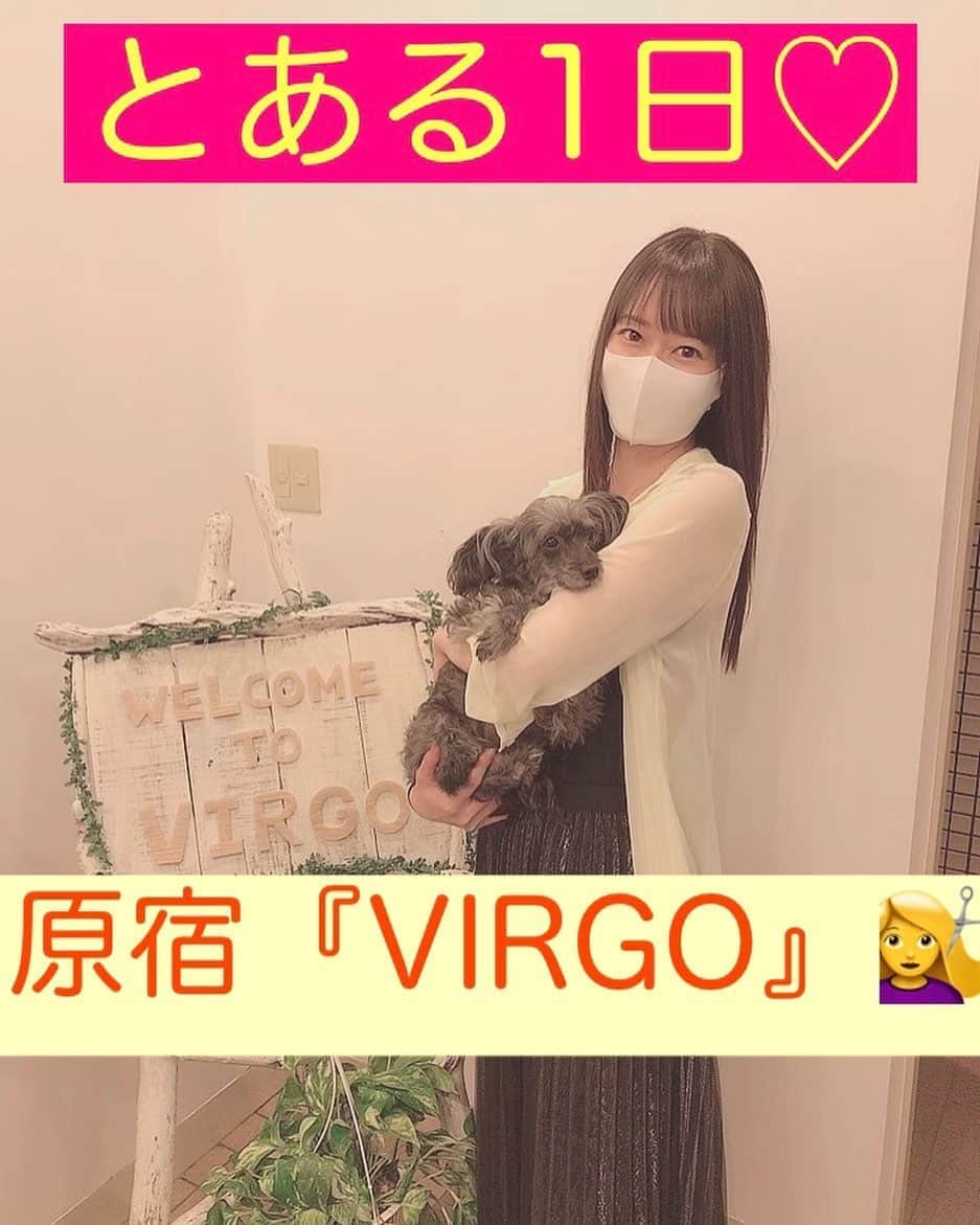 吉山りささんのインスタグラム写真 - (吉山りさInstagram)「夏の日のVIRGO✨  アップが遅くなり🙇🏻‍♀️  ゆるりの4分間✨  華金に見ていただけたら嬉しいです💇‍♀️  #virgo #原宿 #hairsalon #hairvirgo #シェラ #animal #dog #美容室   #吉山りさ #フリーモデル #youtube  #動画 #movies #マスク #コロナ #コロナ対策 #コロナなんかに負けないもん   #アラフォーママ #Japanesemodel  @hair_virgo   https://youtu.be/01vROSQtuxw」10月16日 20時47分 - oreorerisa