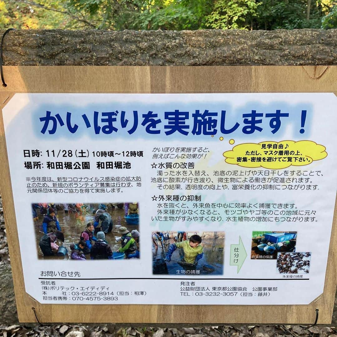 佐藤竜雄さんのインスタグラム写真 - (佐藤竜雄Instagram)「和田堀池のかいぼり、見に行こうかな。 #善福寺川 #和田堀公園 #和田堀池  #かいぼり」10月31日 15時42分 - seitenhyohyo