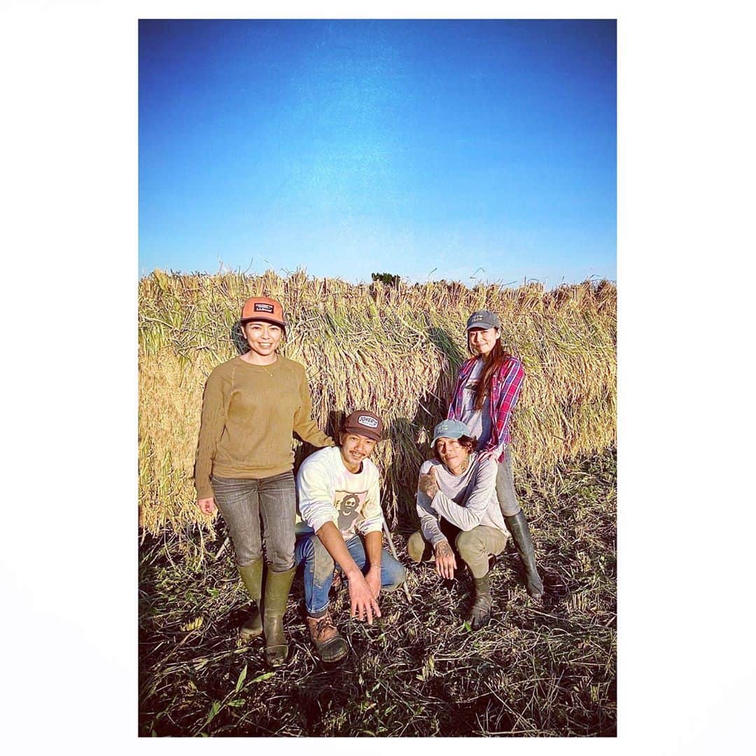 Caravanさんのインスタグラム写真 - (CaravanInstagram)「2020.10.31  人生初の米作り。  本日で脱穀までの工程を  終了しました。  かけがえの無い時間でした。  色々な事を教えてくれた  81農園に感謝。  音楽と通ずる所が  こんなにもあるんだね。  #八一米日記 #81farm_organic」10月31日 15時41分 - caravan_harvest