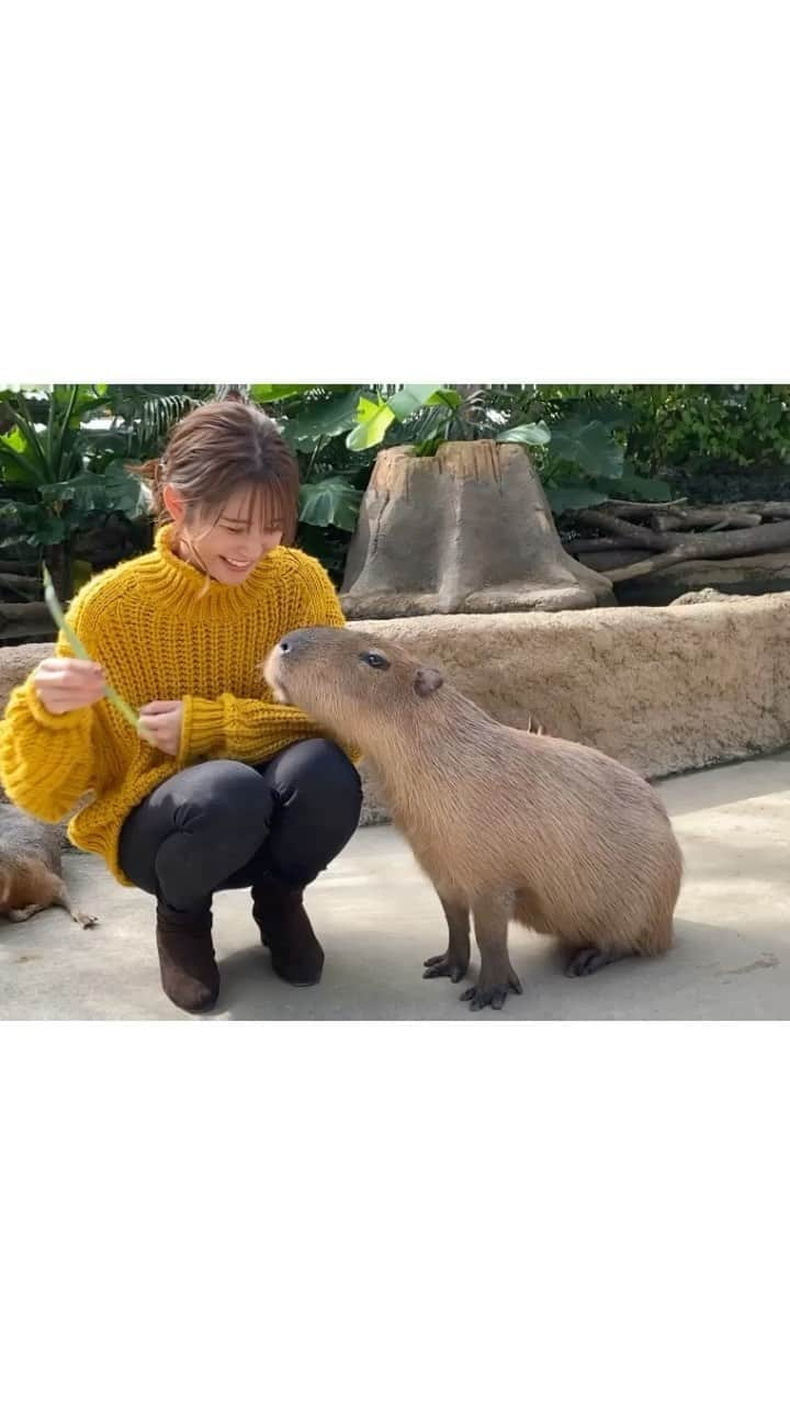 田尻夏樹（なつきんぐ）のインスタグラム