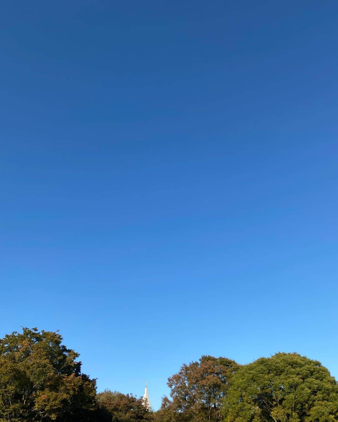 高橋志津奈さんのインスタグラム写真 - (高橋志津奈Instagram)「雲一つないとはこのことだ✨ . 久々の公園、一緒にサッカーやって、おやつ食べて。 . 私は３枚着てるのに、チビは半袖😂 . 大きくなったなー✨  . スニーカー歩きやすすぎた😂」10月31日 16時16分 - shizunan