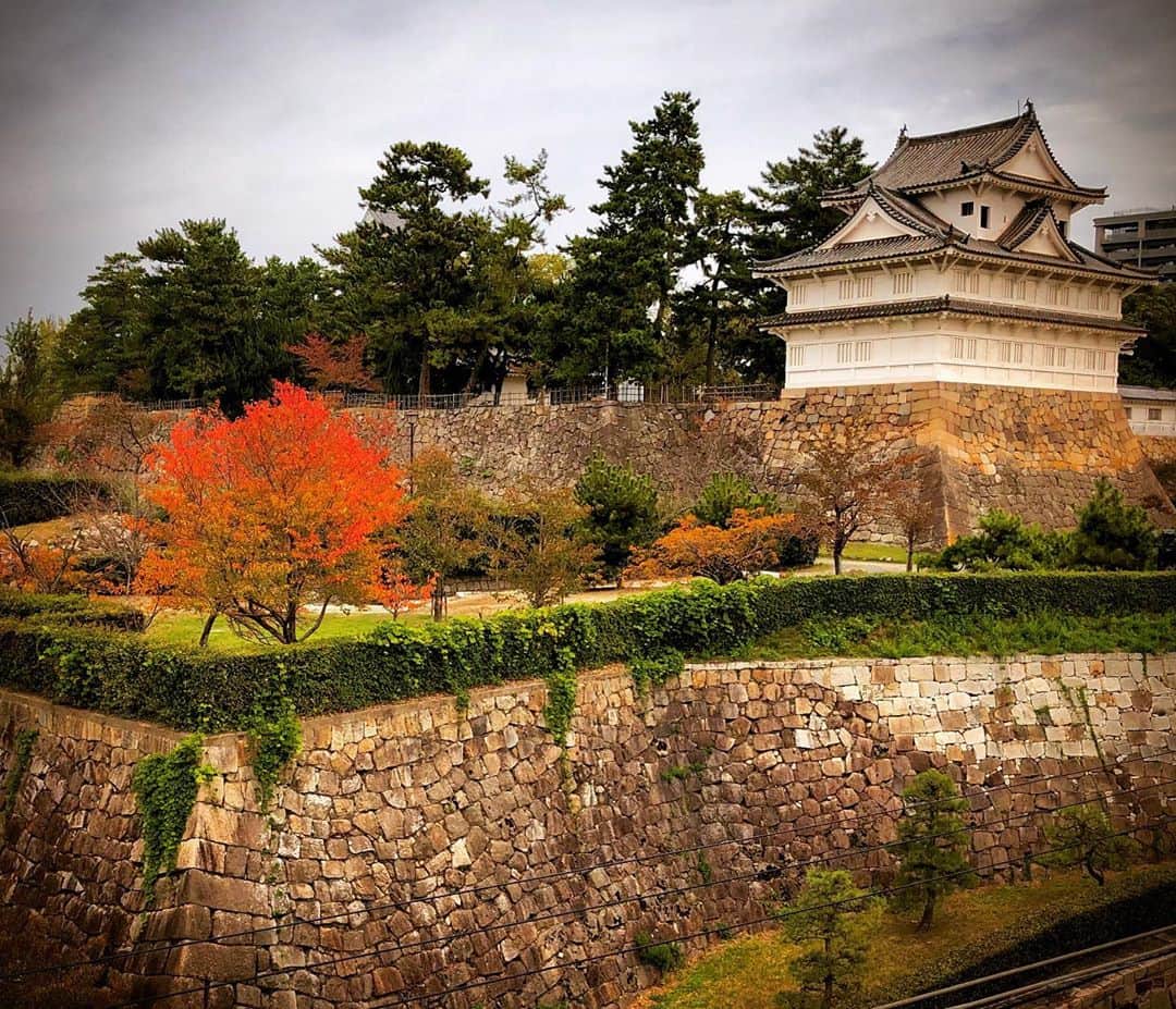 羽原信義のグルメインスタ