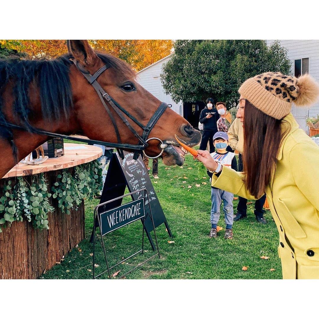 紗栄子のグルメインスタ