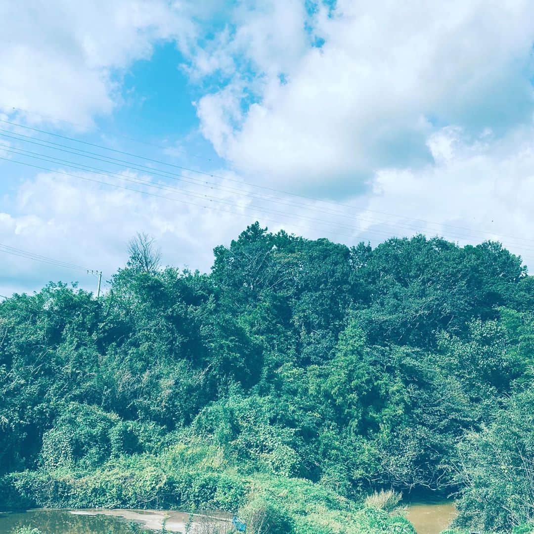 中野敬久さんのインスタグラム写真 - (中野敬久Instagram)「#nature #green #sky #trees #chiba #sunny」10月31日 8時11分 - hirohisanakano