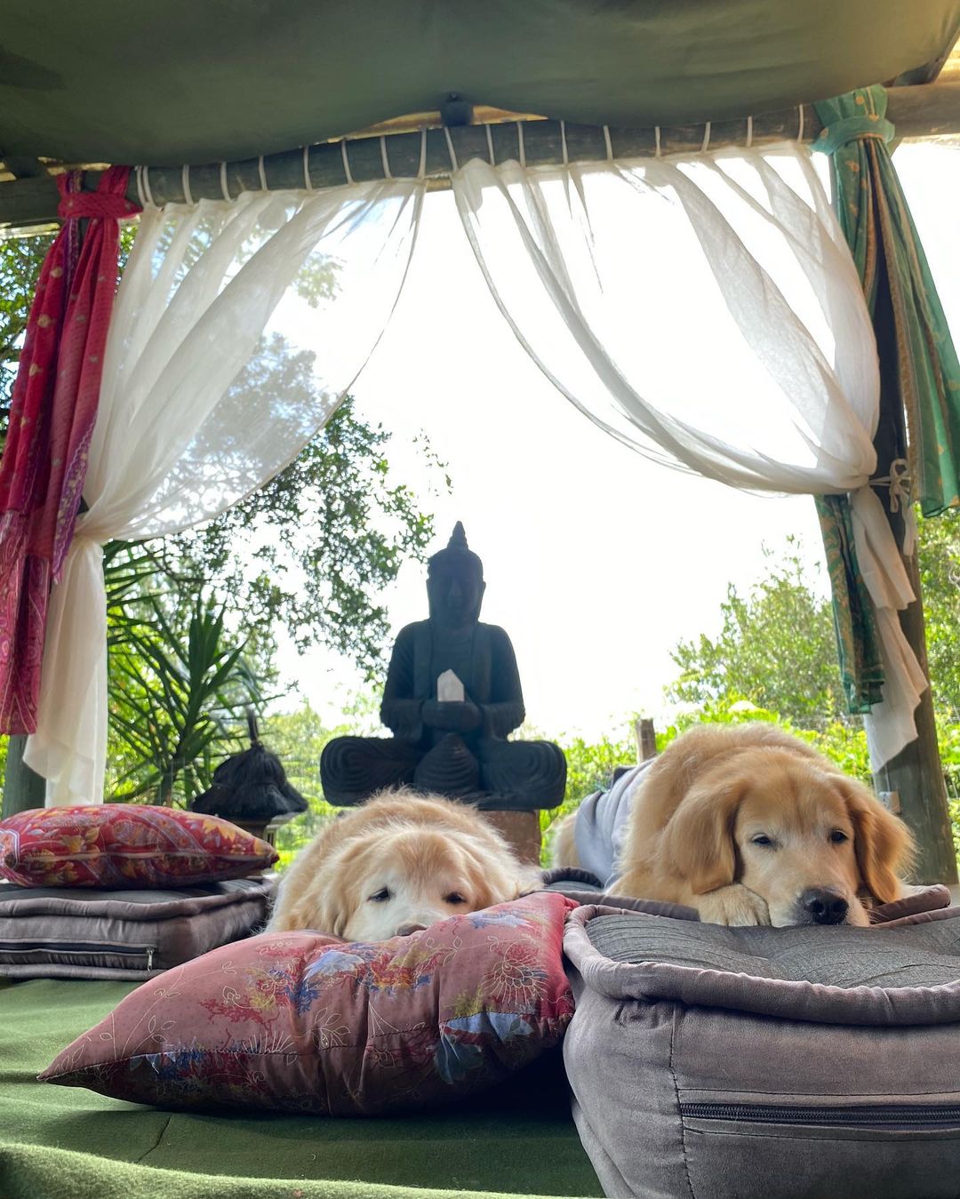 Bobさんのインスタグラム写真 - (BobInstagram)「Mais uma opção de hotelaria em Gramado! @hotelcantoverde Petfriendly 🐾🐾 muito verde e até Espaço Zen pra meditar e descansar 🧘‍♂️🧘‍♂️  . #ExpediçõesOlaPet #HyundaiPets . Destino: Gramado - RS Hotel: @hotelcantoverde  . #gramado #riograndedosul #natalluzgramado #hotelpetfriendly #hotelaria #turismo #gastronomia #viagem #viagemcompets #destino #roteiro #dogs #doglovers #dogsofinstagram #pets #petsofinstagram #petlovers #instagram #instagramers #olapetfriendly #hyundai #creta」10月31日 9時18分 - bob_marley_goldenretriever