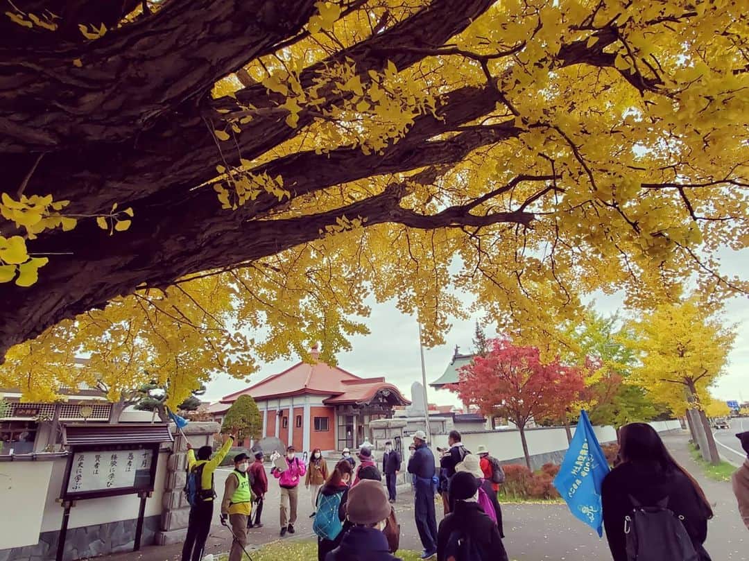 近江谷杏菜さんのインスタグラム写真 - (近江谷杏菜Instagram)「#さっぽろスポーツ部   北区のウォーキング会の皆さんと秋の北区を満喫してきました🍁🚶‍♀️  発着は百合が原公園！ 大きなイチョウの木が名物の龍雲寺をまわり、約6kmのコースを2時間かけて歩きました。 イチョウからパワーをもらい、綺麗な景色の数々に目から栄養補給👀✨  いつぶりのラジオ体操も最高に気持ち良かったなぁー😊  #百合が原公園 #龍雲寺 #紅葉 #イチョウ #ウォーキング #秋のお散歩  #ぽっぴい は #北区 のキャラクター」10月31日 9時17分 - annaohmiya12