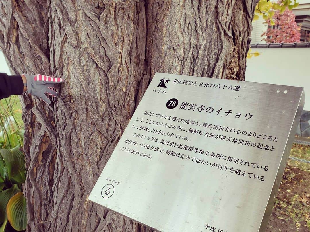 近江谷杏菜さんのインスタグラム写真 - (近江谷杏菜Instagram)「#さっぽろスポーツ部   北区のウォーキング会の皆さんと秋の北区を満喫してきました🍁🚶‍♀️  発着は百合が原公園！ 大きなイチョウの木が名物の龍雲寺をまわり、約6kmのコースを2時間かけて歩きました。 イチョウからパワーをもらい、綺麗な景色の数々に目から栄養補給👀✨  いつぶりのラジオ体操も最高に気持ち良かったなぁー😊  #百合が原公園 #龍雲寺 #紅葉 #イチョウ #ウォーキング #秋のお散歩  #ぽっぴい は #北区 のキャラクター」10月31日 9時17分 - annaohmiya12
