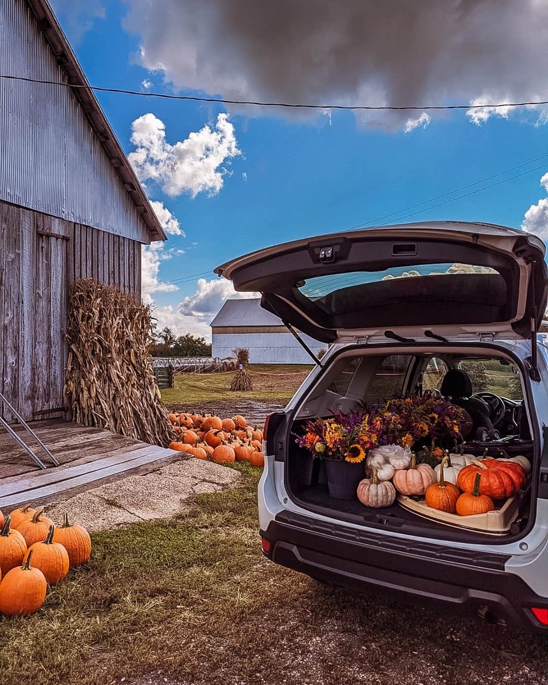 Subaru of Americaさんのインスタグラム写真 - (Subaru of AmericaInstagram)「Whose Subaru looks like this in October? We know ours does 🙌😂. (📸: @justagirlandhercheese)」10月31日 9時26分 - subaru_usa