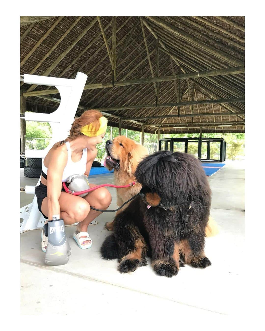 ジュリアナ・パエスのインスタグラム：「New friends I made today!!!!!!」