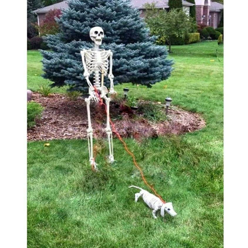 のインスタグラム：「. Happy Halloween！」