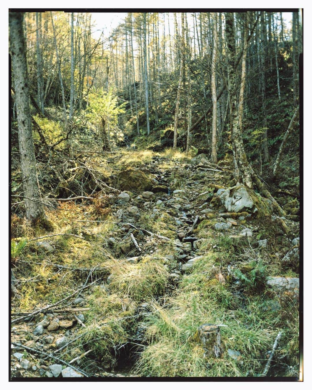 のインスタグラム：「8x10 print  #film #landscape  #landscapephotography  #filmphotography  #cprint #analog  #8x10film」