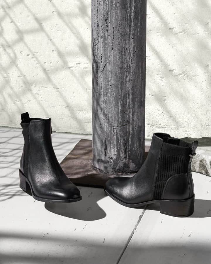 ケネスコールのインスタグラム：「Hey ladies, please help this country get back on its feet…GO VOTE! And then reward yourself with a pair of our Salt stretch booties. #VoteToExist #MakeAmericaRelateAgain #FallStyle   When you shop at KennethCole.com, we’ll donate to The New York Public Library in support of The Harry Belafonte Black Liberation Speaker Series. Info link in bio.」