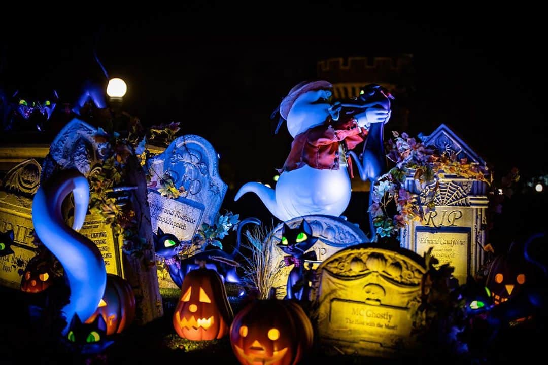 Kahoさんのインスタグラム写真 - (KahoInstagram)「. . Happy Halloween 🎃 👻. . . ハロウィンの夜、おばけちゃんたちは. どんなふうに楽しんでるのかな🤔✨. . .  #disneyland #tokyodisneyresort #tdr #tdl #disneygram #instadisney#disneyparks #disneyfan #disneyphoto #disneypic  #Disneyside #Disneylove #tokyodisneyland #disneylandtokyo #disneylover #tokyodisneyland#disneyphotography #japan #japan_of_insta #japan_day _view #disneylandtokyo #disneylandjapan #halloween #disneyhalloween #cinderella##japan_daytime_view  #東京ディズニーリゾート #東京ディズニーランド #ディズニー #ディズニー風景#ディズニーハロウィン」10月31日 10時26分 - kah05disney