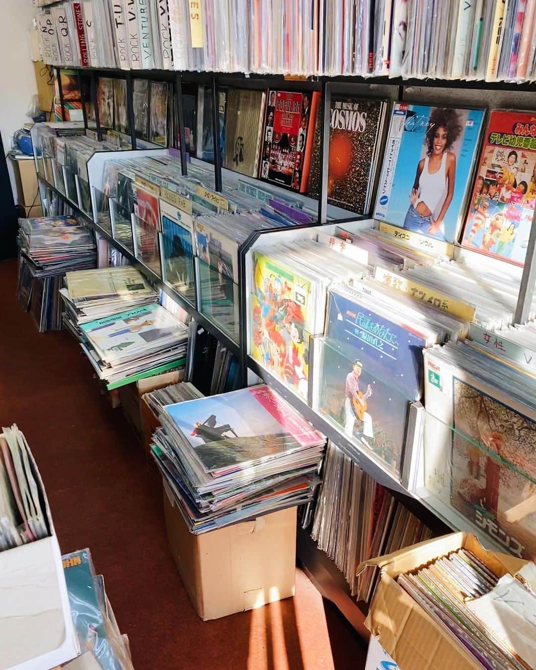 TANAKA ALICEのインスタグラム：「レコード集めにハマってて、最近見つけたお気に入りのレコード屋さん‼︎ CDもカセットもあって、ジャンルも色々あって、値段もびっくりするほど安くて、この前マイケルジェクソンのレコードを550円でゲットしたの!笑 他にもクリスマスのレコードとかマドンナとか99円のスーパーマンの主題歌とか色々ゲットしてハッピー🤍 お金を払って曲を買うって、曲がより生きて聞こえるし、曲の重さを感じられるし、絵の作品をみてるかのように曲を感じられる。 こんなふうに他の人の曲で感じられたのは久しぶりな気がする。この感覚をみんなにも感じてほしい🤍  #vinyl#record#レコード屋さん」