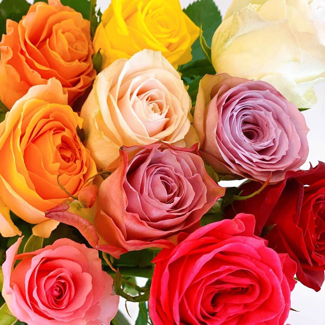 のインスタグラム：「39歳になりました🌹 遂に30代最後の一年…❣️ 後悔のないように生きたいと思います🙏✨ 今日は家族でゆっくり過ごします🥰🎂🎉 #happybirthdaytome #rosegallery #happyhalloween 🎃」