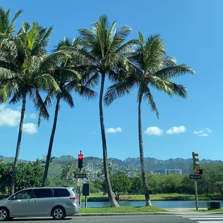 のインスタグラム：「ワイキキ信号待ち💚Aloha Friday☘️  #ハワイ #niceday #alohafriday #hawaiilife #hawaiistagram」