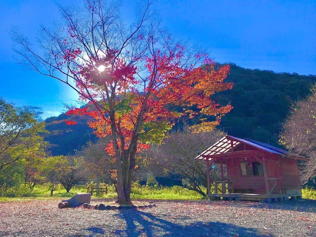 吉山りさのインスタグラム