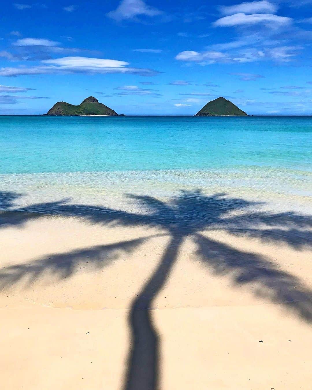 shihoのインスタグラム：「💙🌴💙🌴💙 ・ 全然ハロウィン感ないpicだけど、、 Hawaiiの素敵な景色をお届けー♡ ヤシの木の影が加わって お気に入りの1枚🥰💙 ・ 皆さま素敵な1日を過ごしてね♡ Happy Halloween! ・ #hawaii#islandofoahu#oahu#ハワイ#trip #オアフ島#travel#loco_hawaii#travel_jp #funtorip#タビジョ#旅MUSE#genic_travel #genic_mag#たびねす#旅行#genic_hawaii #lanikaibeach#kailua#beach#oahuhawaii #tabijyomap_hawaii#lealeahawaii#2020」