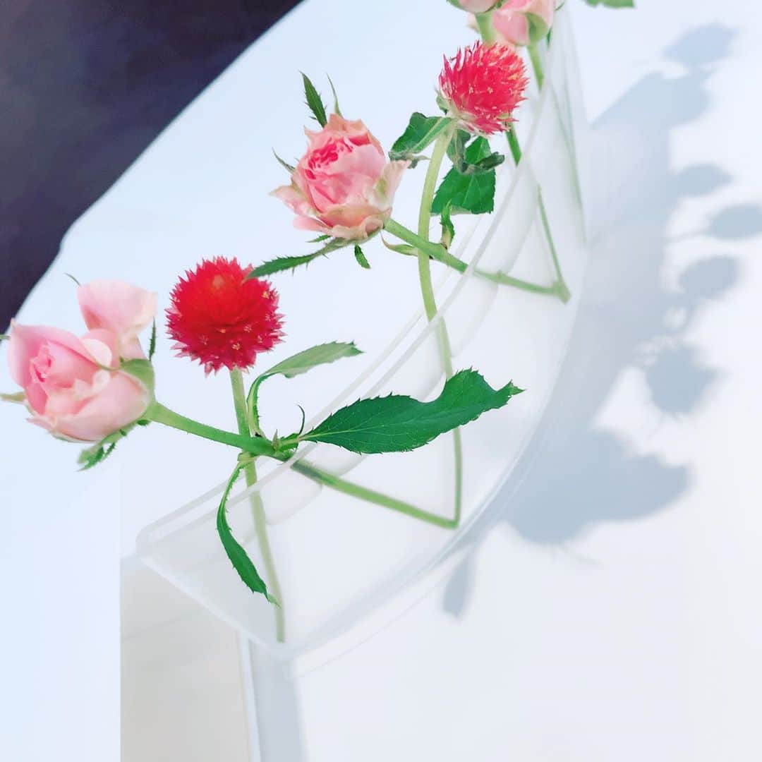 かねさだ雪緒さんのインスタグラム写真 - (かねさだ雪緒Instagram)「お店で見た可愛い花瓶？ アートだなぁ🌸」10月31日 12時10分 - yukiokanesada