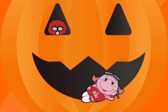 千葉ジェッツさんのインスタグラム写真 - (千葉ジェッツInstagram)「🎃🎃Happy Halloween!🎃🎃 トリックオアトリーゾウ♪🐘  #chibajets  #halloween #雷太のかぼちゃ #chibajetshalloween」10月31日 12時20分 - chibajets_official
