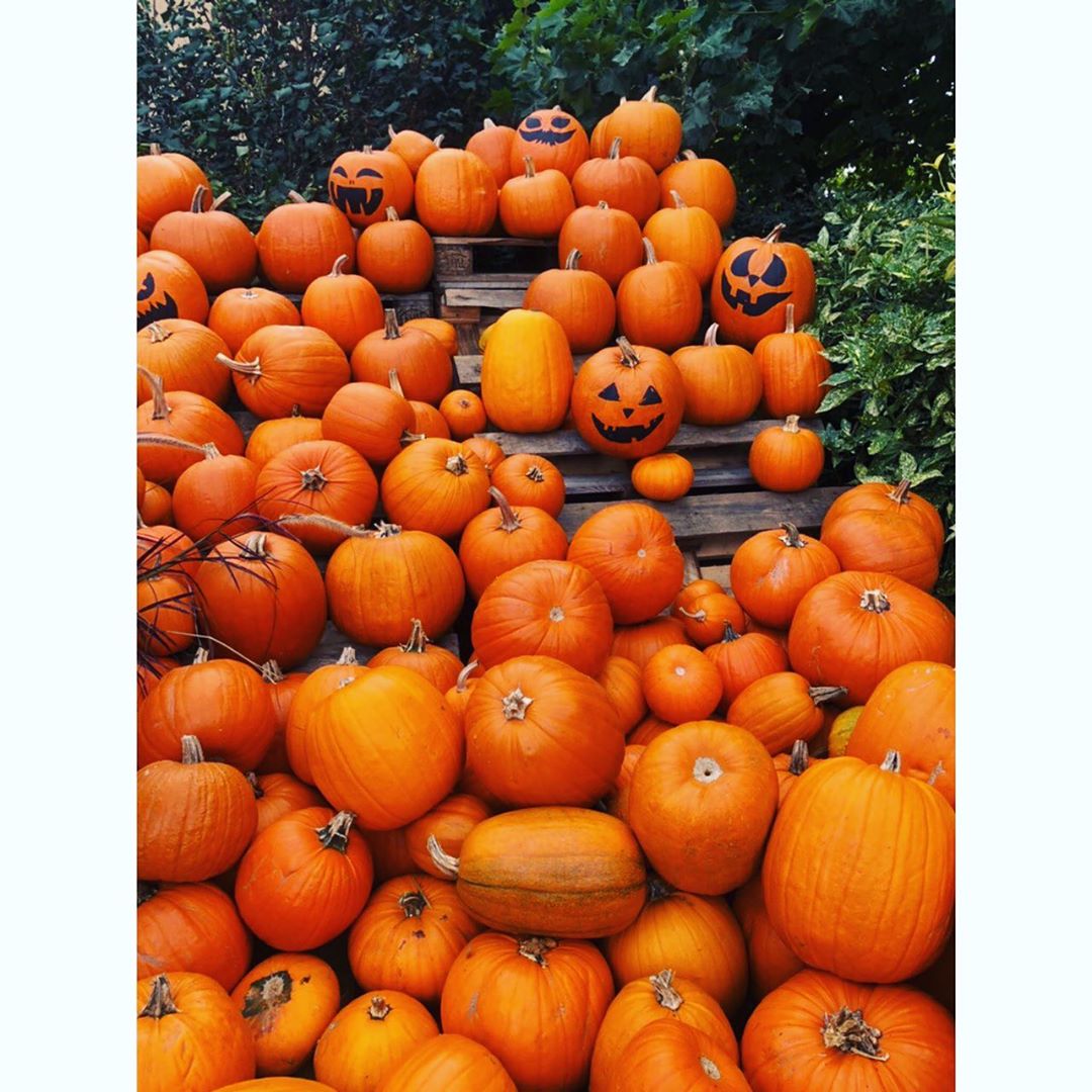 佐藤ありさのインスタグラム：「Happy Halloween👻💜 今年は初めてかぼちゃのカービングに挑戦しました🎃」