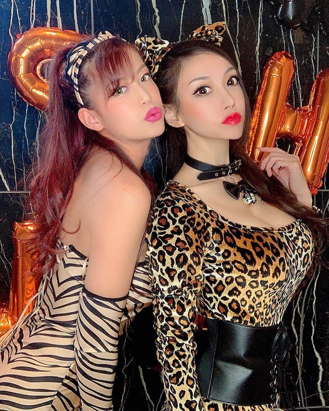 百合華さんのインスタグラム写真 - (百合華Instagram)「Thank you to dear everyone who came to『FLARE 祇園』🧡  Have a happy helloween 🎃✨💕  #animal  #animalwoman  #animalsisters  #leopard #レオパード #champagne #シャンパン #キャバ嬢 #キャバクラ #キャバクラ嬢  #祇園 #祇園flare #最先端 #プロデュース #helloween #ハロウィン #helloweencostume  #ハロウィンコスプレ  #helloweenevent  #ハロウィンイベント #champagne #シャンパン #乾杯 #御来店 #ありがとうございました  #愛しい  #仲良し #楽しい時間  #楽しい時間はあっという間」10月31日 12時32分 - yurika.lovelily