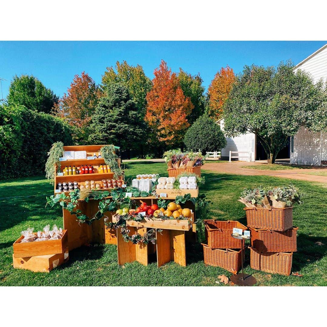 紗栄子のグルメインスタ