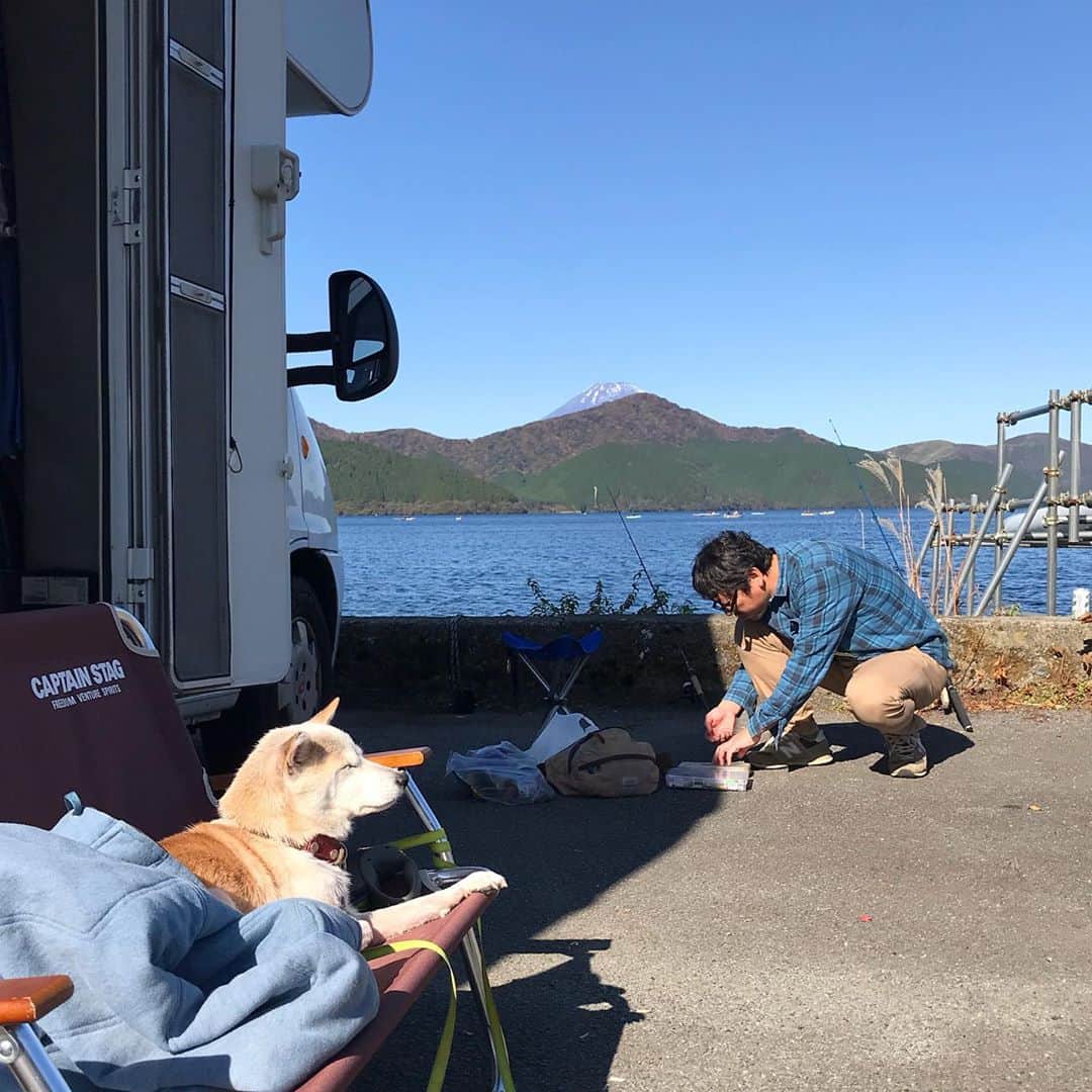 柴犬リリコのインスタグラム：「風が冷たいけどお日様☀️ポカポカ♨️ #インドア犬」