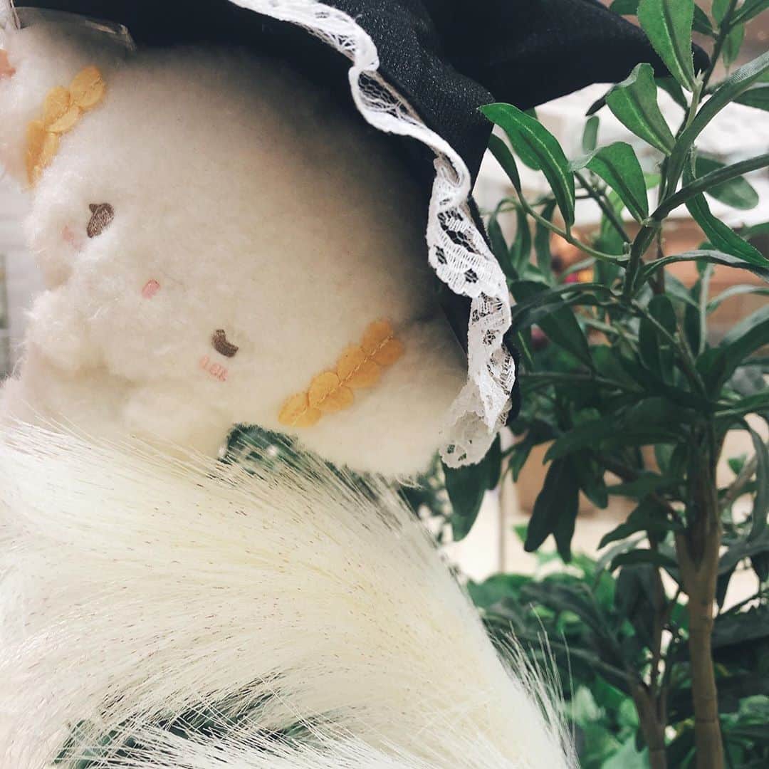 こぎみゅん（サンリオ）のインスタグラム：「みゅっしっしっしっ･･  今日はハロウィーンみゅん♡ とりっくおあとりーと･･みゅん！🎃  みんなもハロウィーン楽しんでみゅん！🎃👻  3枚目、どこにいるか分かるみゅん･･？  #サンリオ #キャラクター #小麦粉の妖精 #こぎみゅん #sanrio #character #cogimyun #ハロウィーン #Halloween #🎃」
