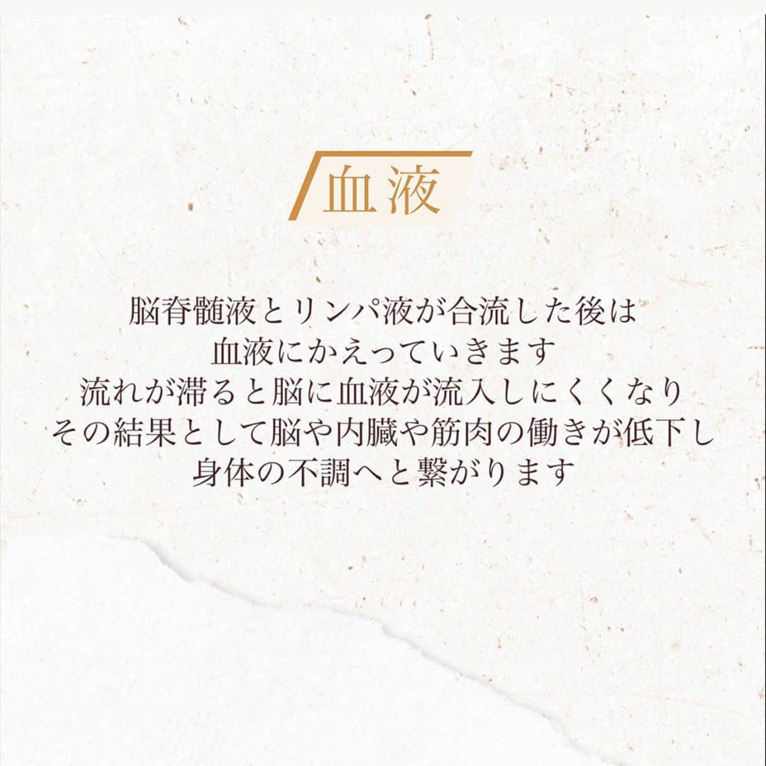 小城綾佳さんのインスタグラム写真 - (小城綾佳Instagram)「🌿脳脊髄液とは🌿」10月31日 12時44分 - josalon.official