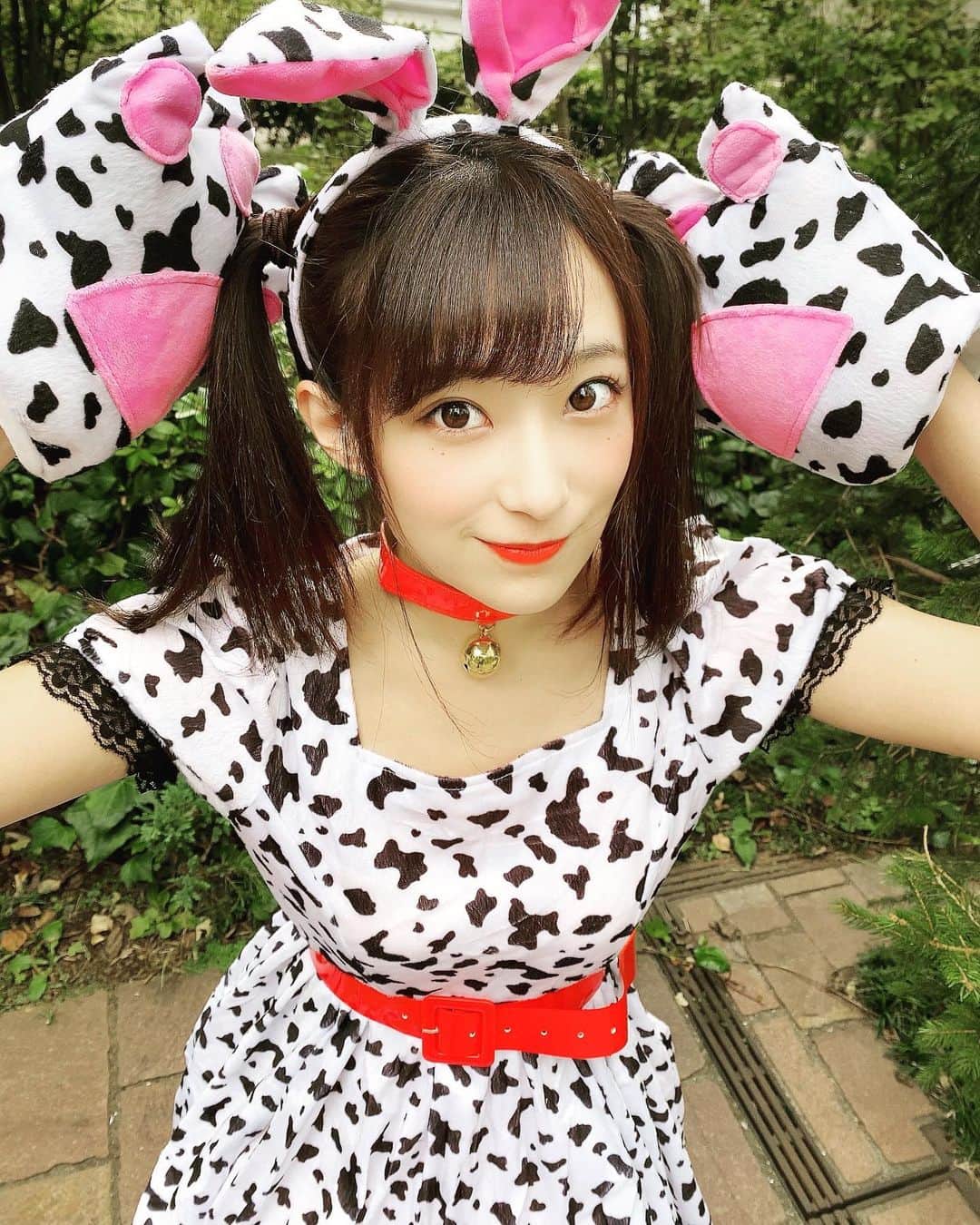 ミクのインスタグラム：「. .  #happyhalloween 🎃🧟‍♀️  これを撮ったのが まだ9月の終わりとかだったから 視線が痛かったけど、 普段の自分と違うことするのは楽しいね👻🍭💀🍫 . . 　#happyhalloween 　#ハロウィン仮装  　#ダルメシアン　🐶  #Halloween   #trickortreat    #japanesegirl #instagood」